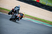 PJ-Motorsport-2019;donington-no-limits-trackday;donington-park-photographs;donington-trackday-photographs;no-limits-trackdays;peter-wileman-photography;trackday-digital-images;trackday-photos